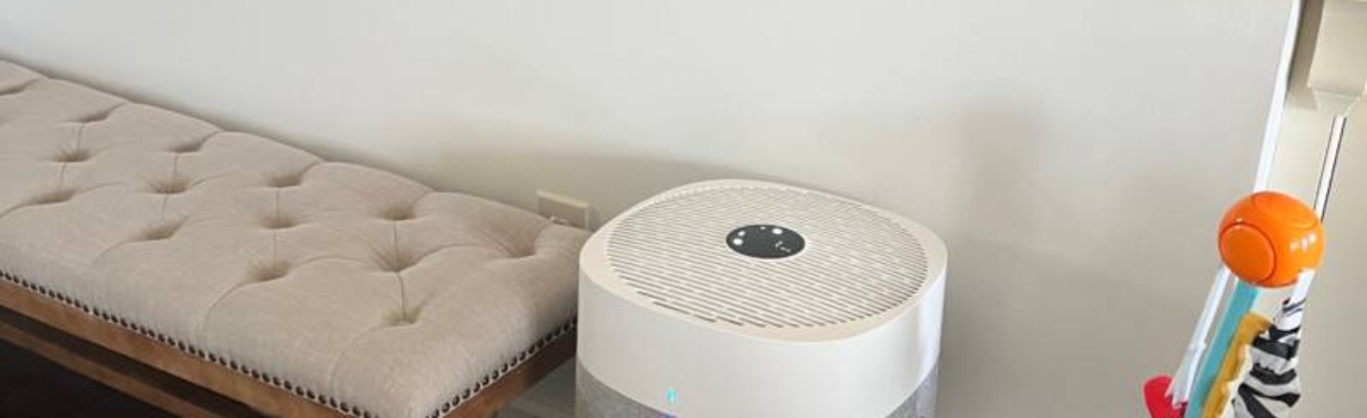 Why I LOVE Our Air Purifiers (And Why You Need Them, Too!)